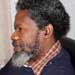Herbert Ekwe-Ekwe, Columnist