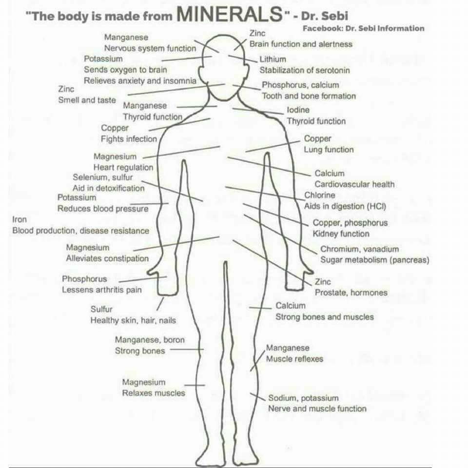 Dr Sebi Health Chart